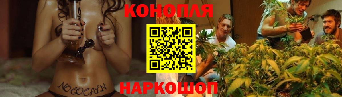 Шишки марихуана OG Kush  Каннабис Ganja  Вход с VPN  МАРИХУАНА ГИДРОПОН  Щёлково 